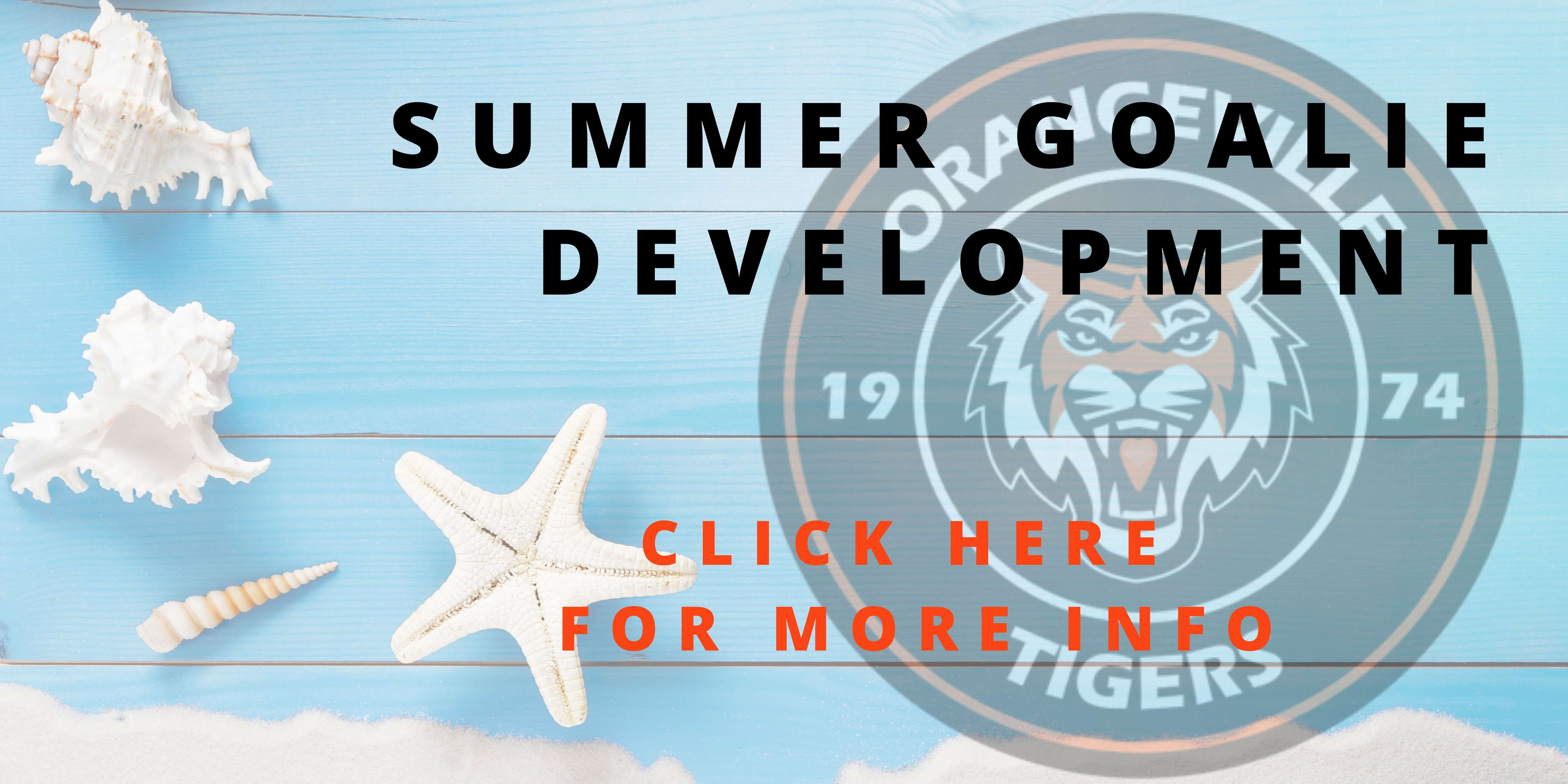 Summer Goalie Clinic